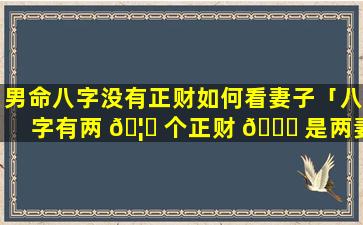 男命八字没有正财如何看妻子「八字有两 🦉 个正财 💐 是两妻命吗」